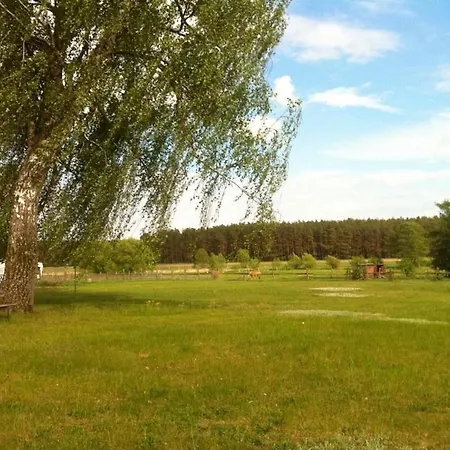 Am Peetscher فندق