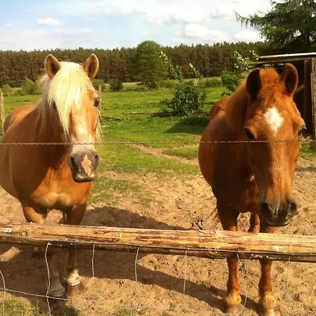 فندق Am Peetscher ميرو